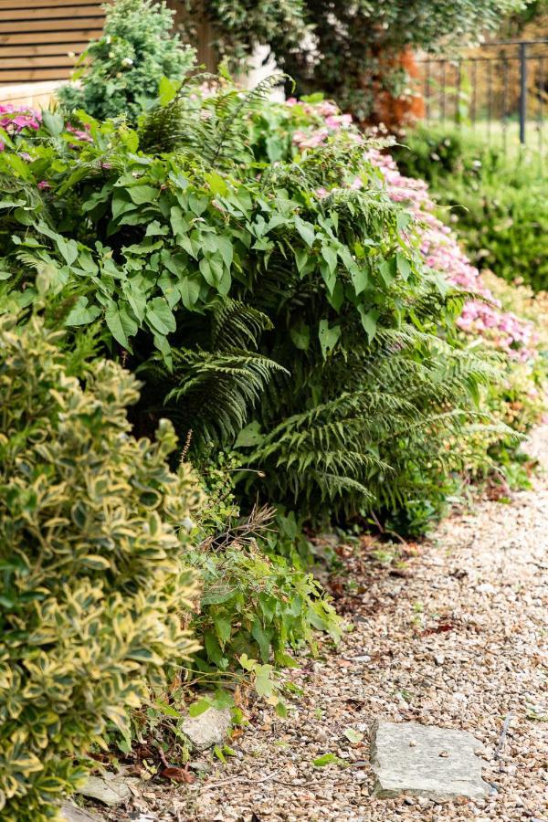 Chatsworth Riverscape: Peaceful Gannel Views Near Newquay Beaches Exterior photo